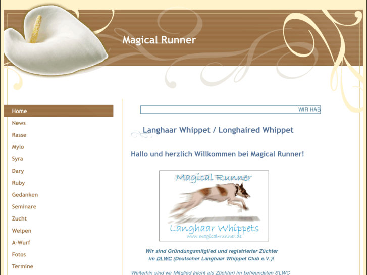 www.langhaar-whippet.info