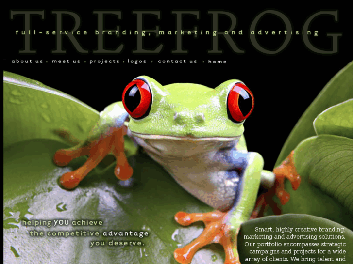 www.treefrogstudio.com