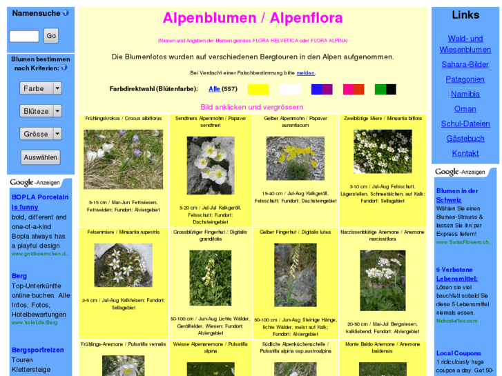 www.alpen-blumen.ch