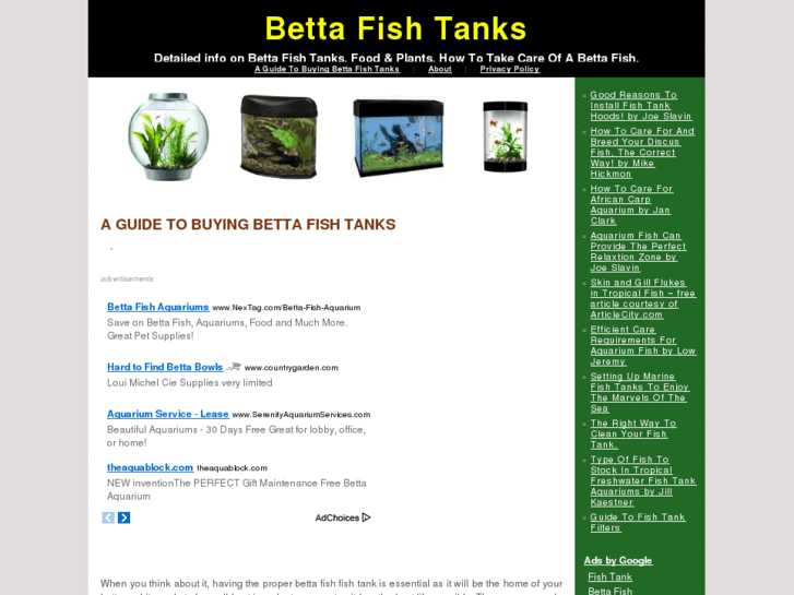 www.bettafishtanks.org