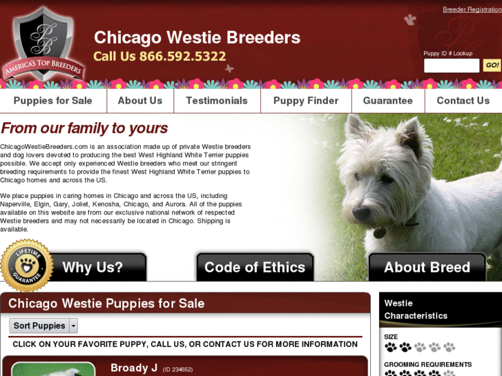 www.chicagowestiebreeders.com