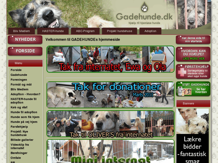 www.gadehunde.dk