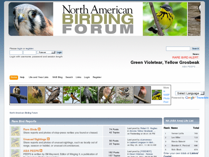 www.birdersforum.com