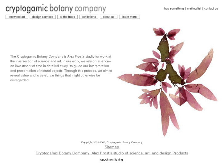 www.cryptogamicbotany.com