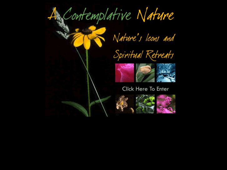 www.acontemplativenature.com