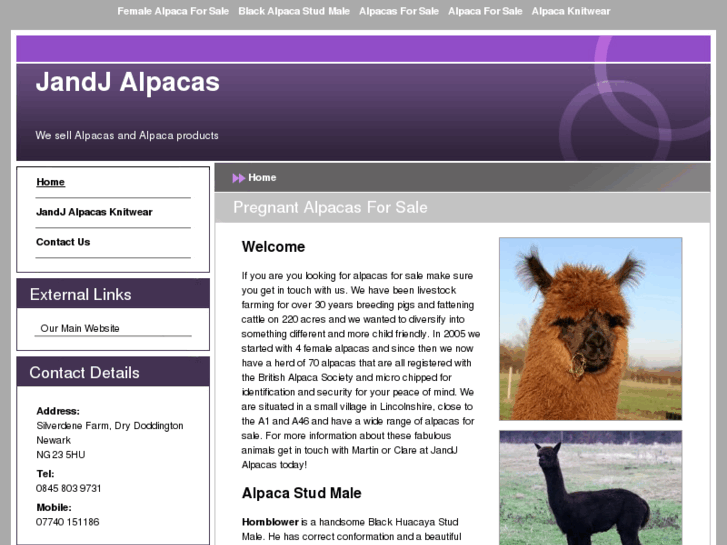 www.alpaca-forsale.net