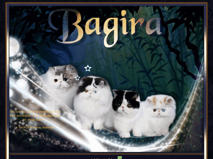 www.bagiracat.com