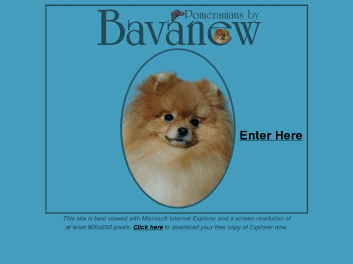 www.bavanew.com