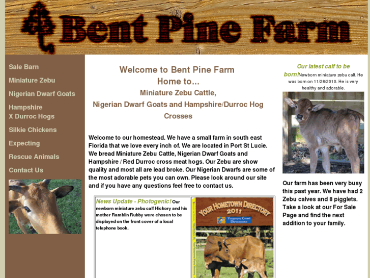 www.bentpinefarm.com