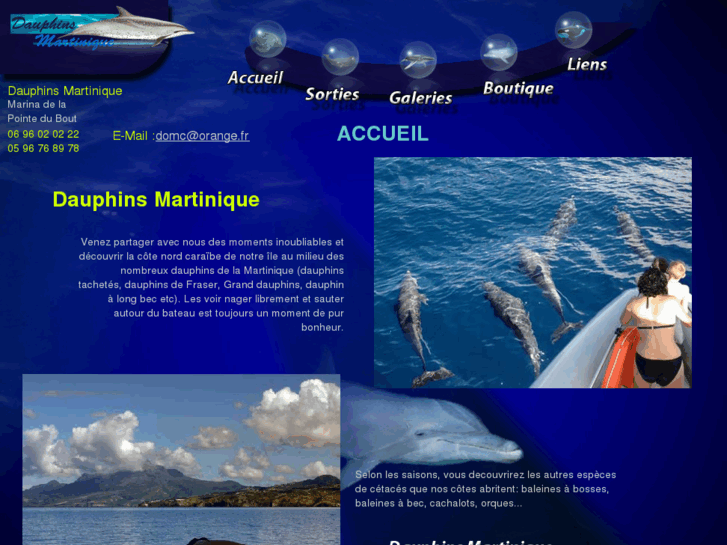 www.dauphins-martinique.com