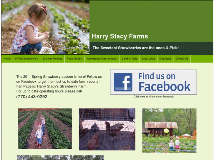 www.harrystacyfarms.com