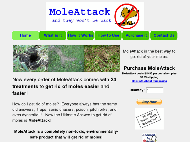 www.moleattack.com