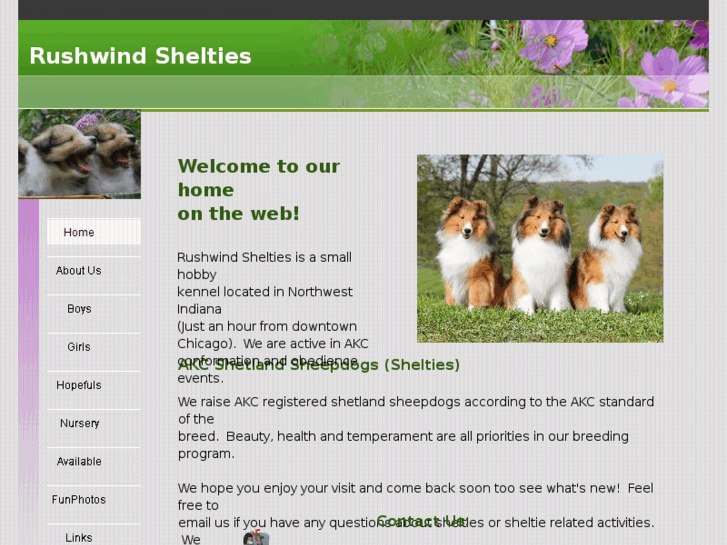 www.rushwindshelties.com