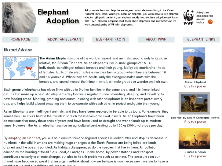 www.adoptanelephant.co.uk