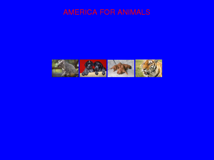 www.americaforanimals.com