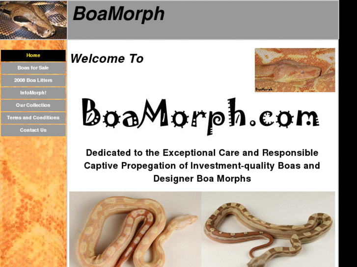 www.boamorph.com