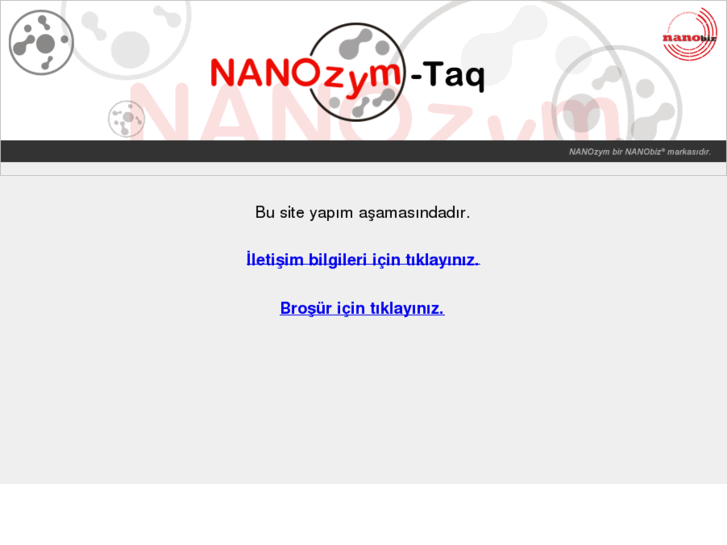 www.nanozym.net