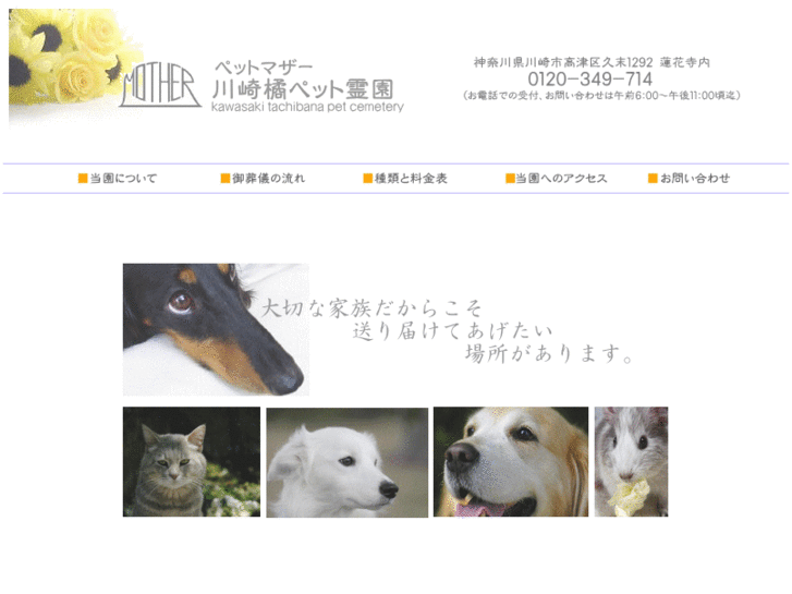 www.petmother.jp