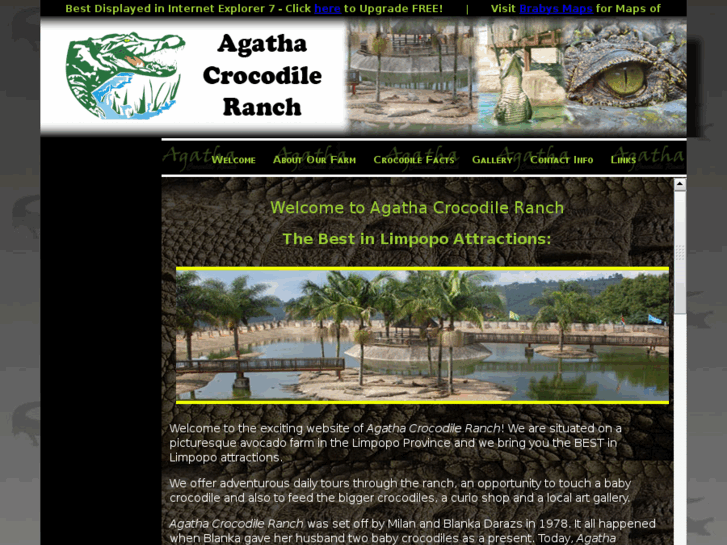 www.agatha-crocodile.co.za