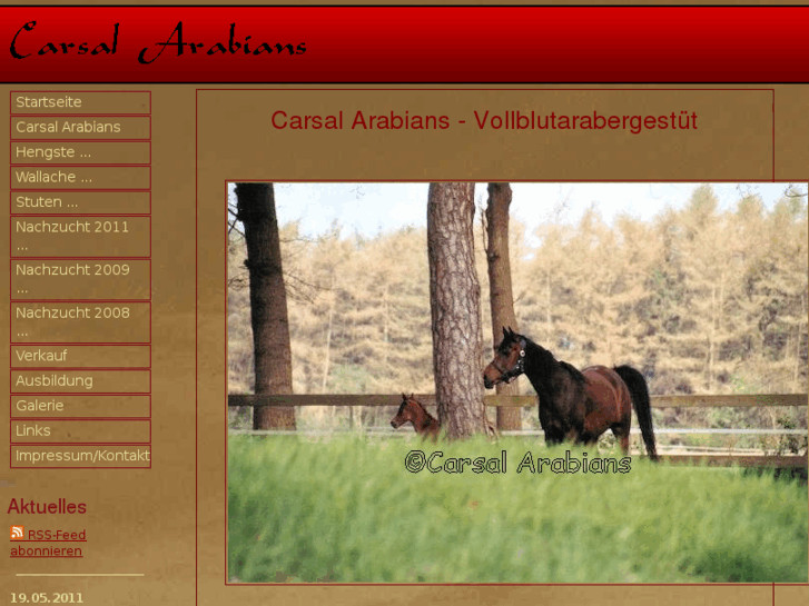 www.carsal.de