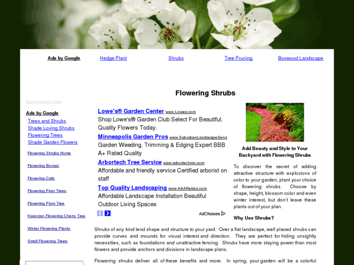 www.floweringshrubs.org