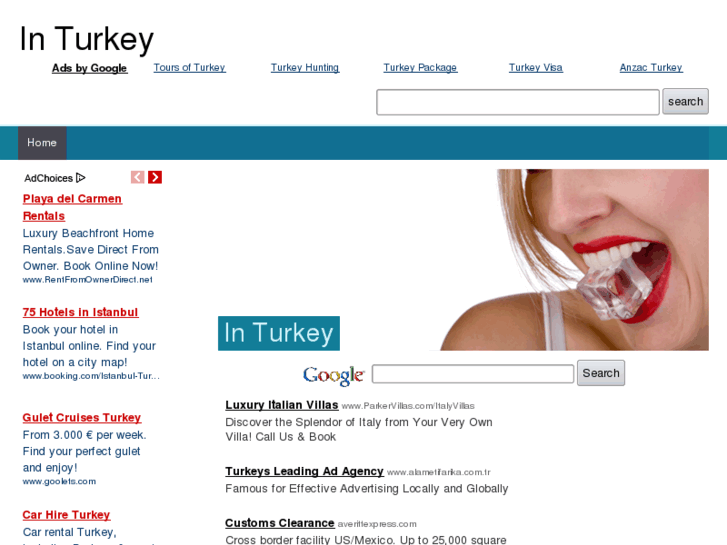www.inturkey.net