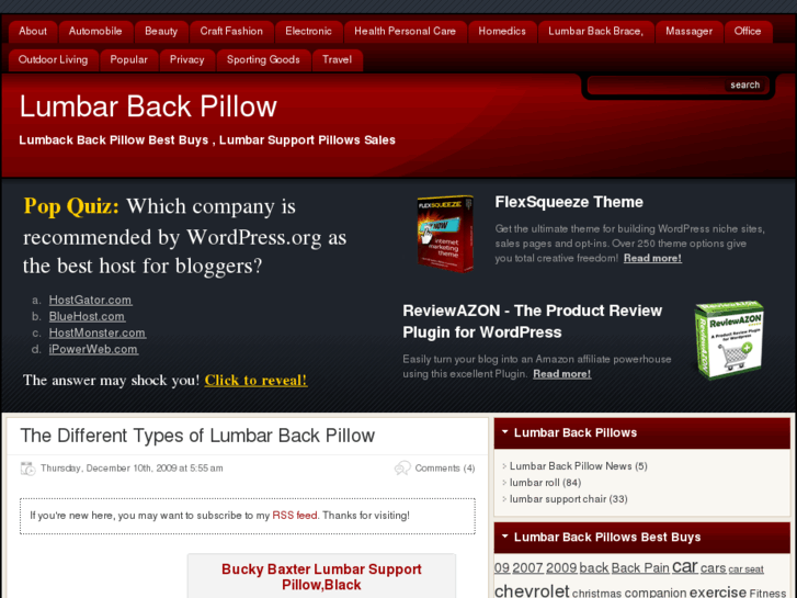 www.lumbarbackpillow.com