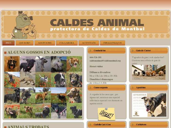 www.caldesanimal.org