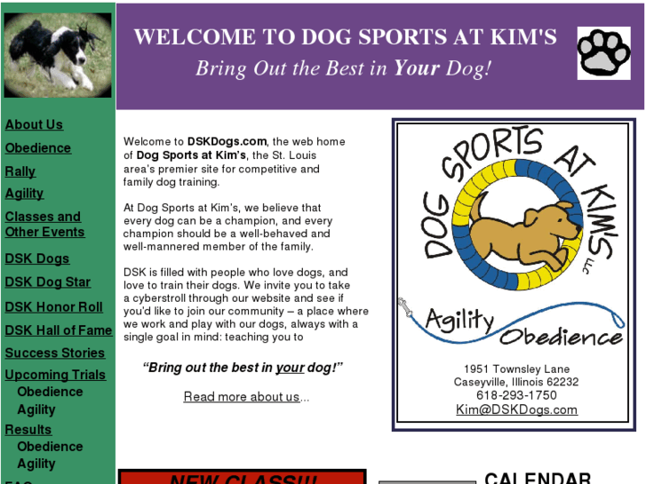 www.dogsportsatkims.com