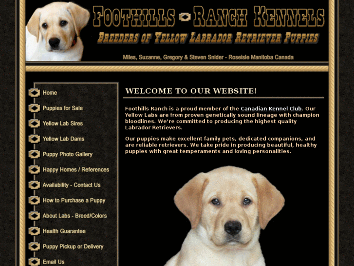 www.foothillsranchkennels.com