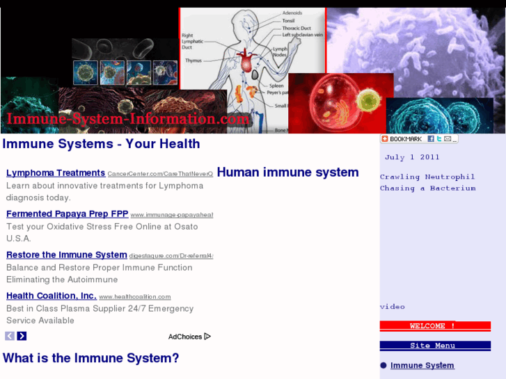 www.immune-system-information.com