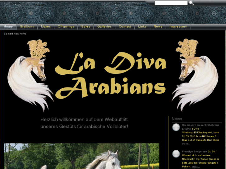 www.ladivaarabians.com