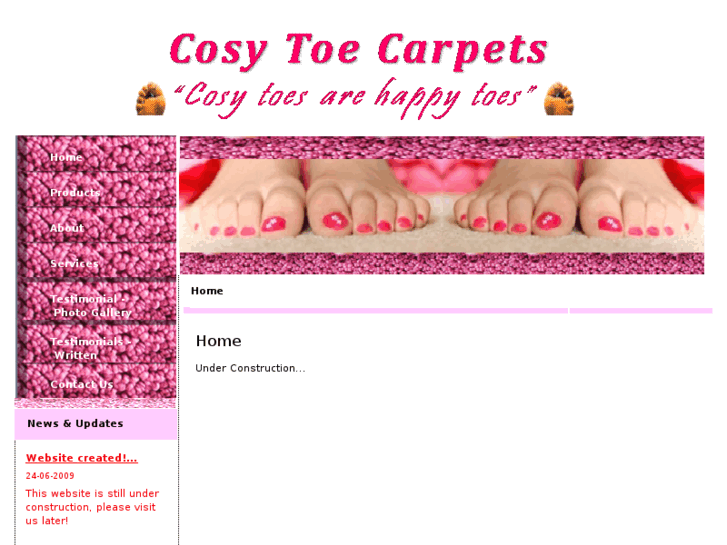 www.cosytoecarpets.com