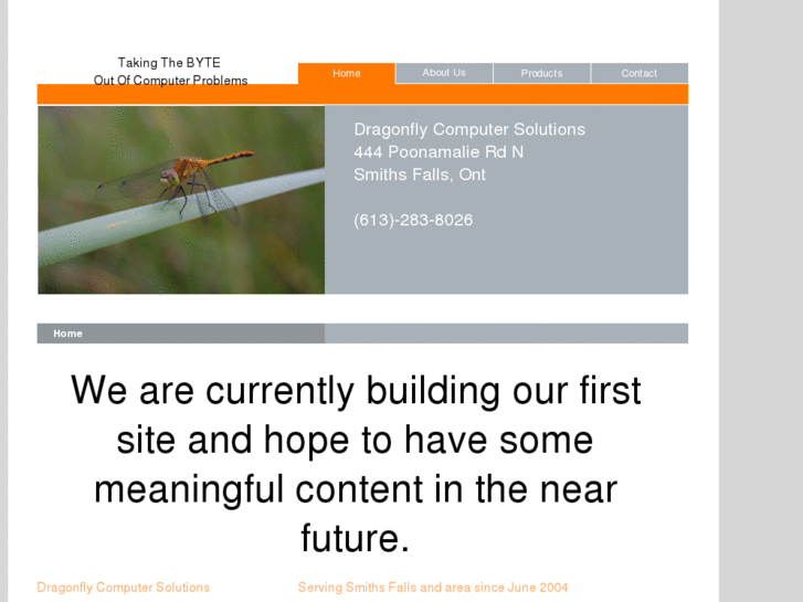 www.dragonflycomputersolutions.com