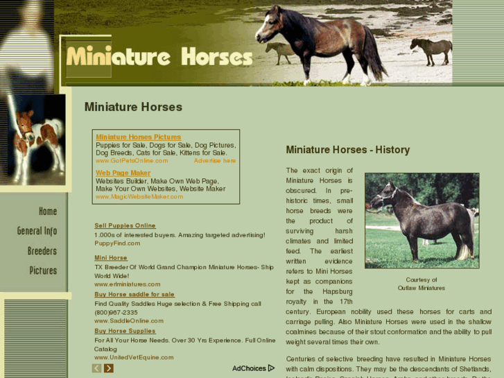 www.miniature-horses.org