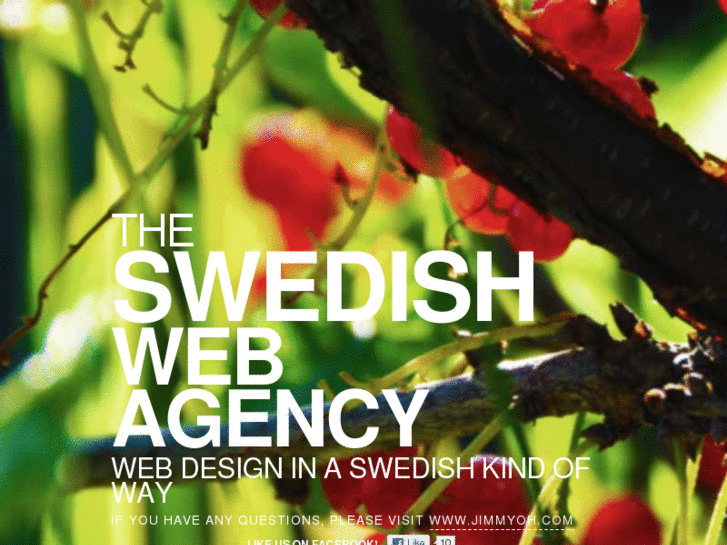 www.swedishwebagency.com