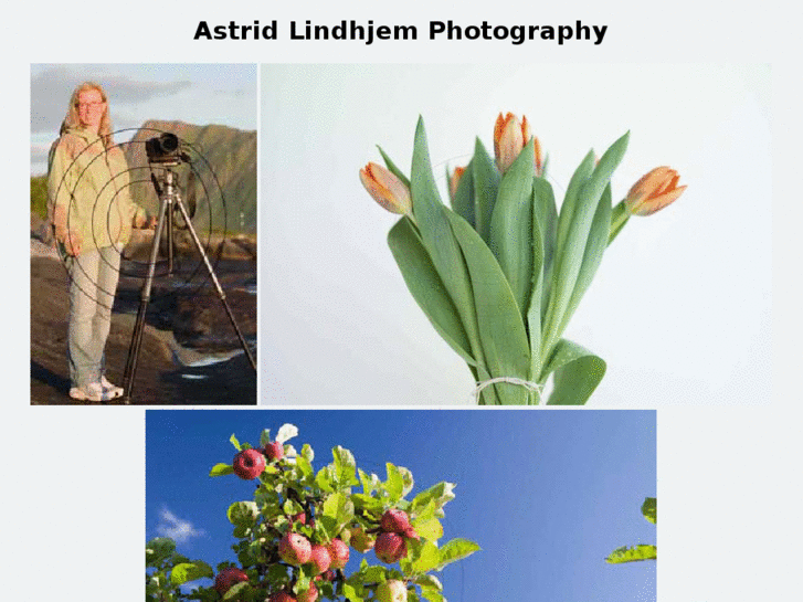 www.astridlindhjem.com