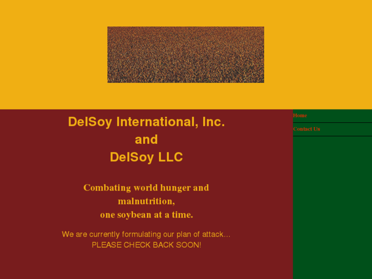 www.delsoy.net