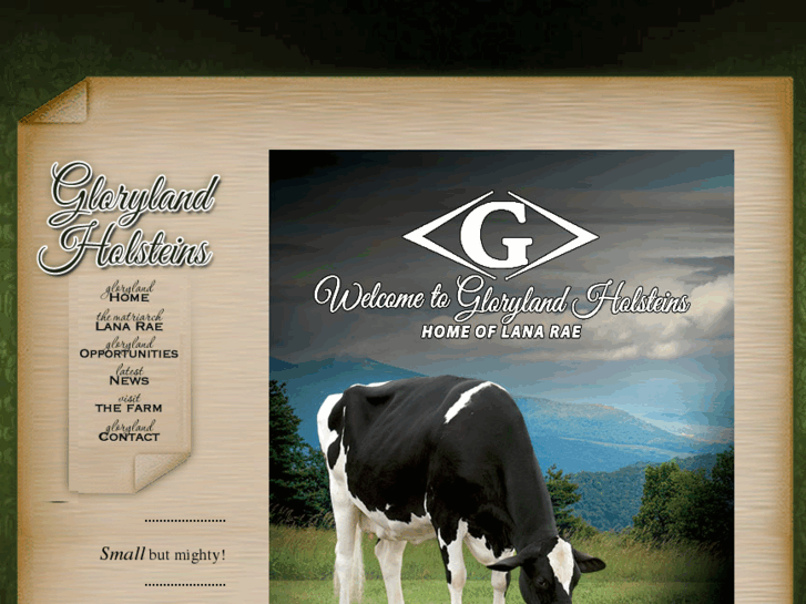 www.glorylandholsteins.com