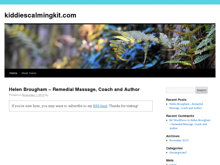 www.kiddiescalmingkit.com