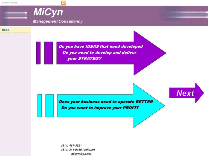 www.micynconsulting.com