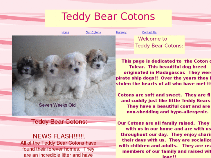 www.teddybearcotons.com