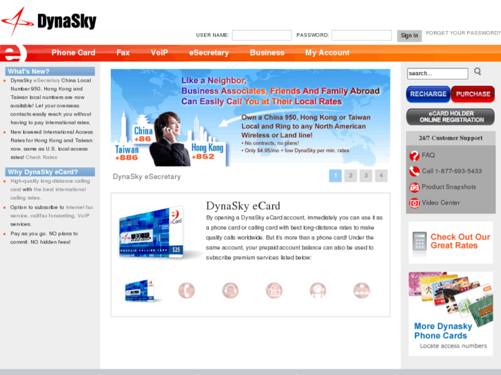 www.dynasky.net