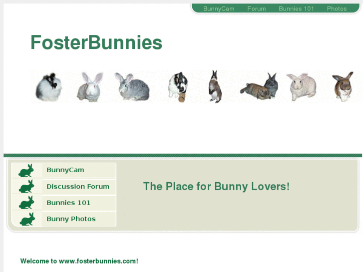 www.fosterbunnies.com