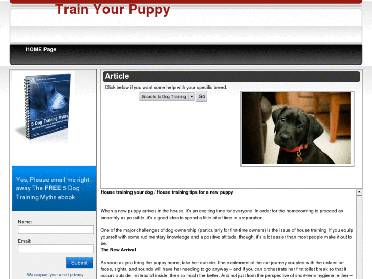 www.trainpuppy.org