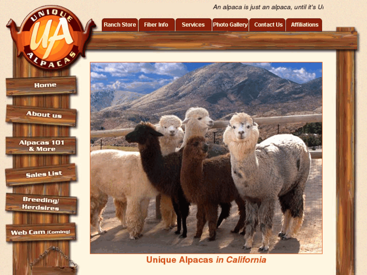 www.uniquealpacas.com