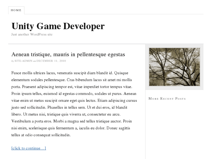 www.unitygamedeveloper.com