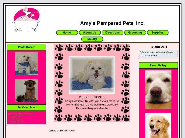 www.amyspamperedpets.com