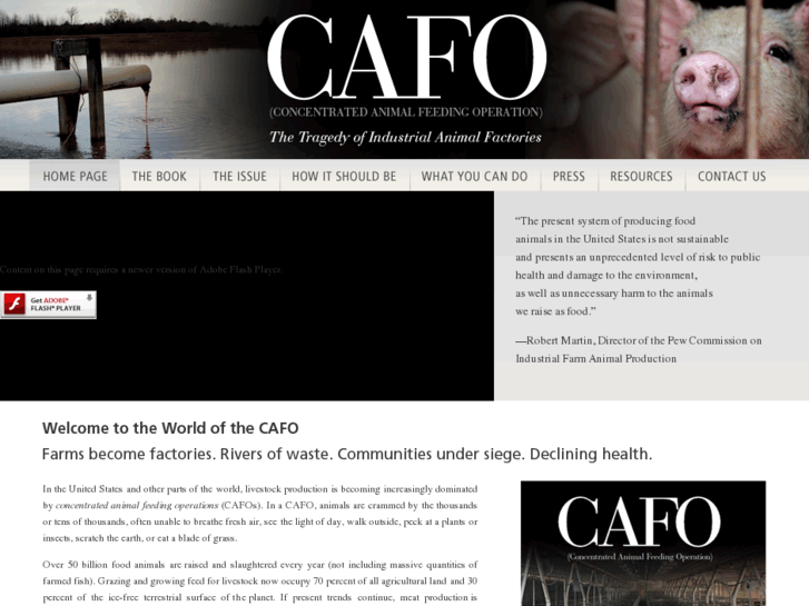 www.cafothebook.org