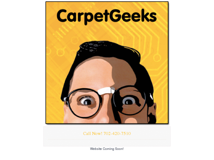 www.mycarpetgeeks.com